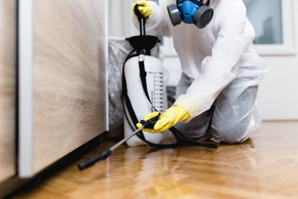 Best Affordable Pest Control Services  in Seven Hills, OH