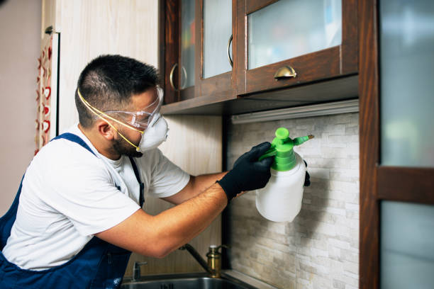 Best Bed Bug Extermination  in Seven Hills, OH