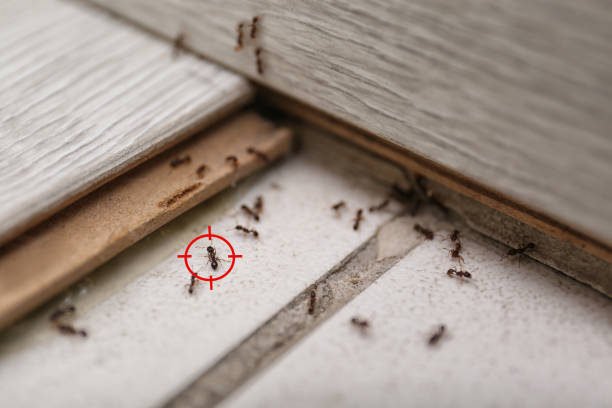 Best Commercial Pest Control Services  in Seven Hills, OH