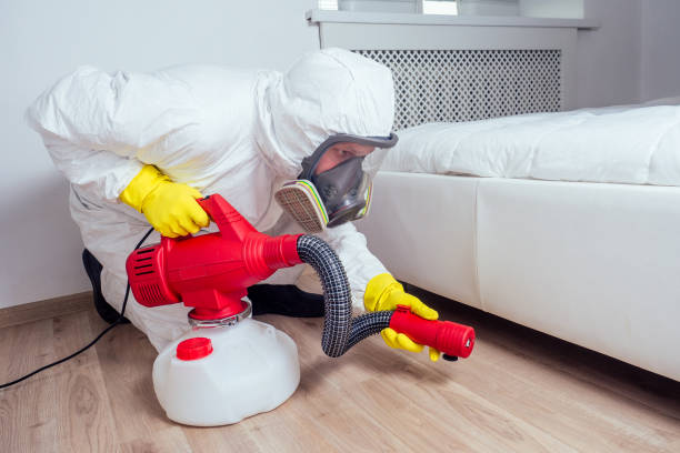 Best Flea Control Services  in Seven Hills, OH