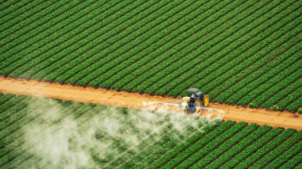 Best Pest Removal Services  in Seven Hills, OH