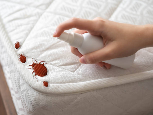 Best Pest Control Near Me  in Seven Hills, OH