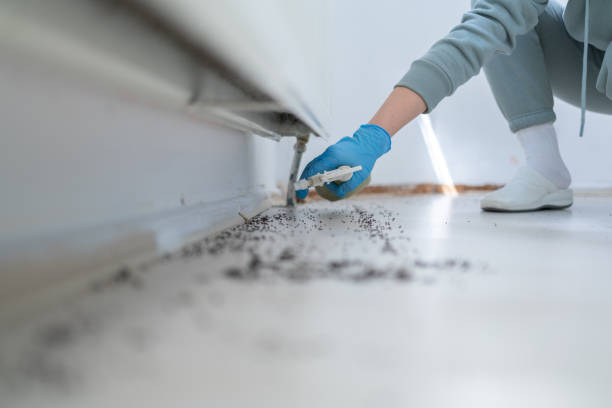 Best Affordable Pest Control Services  in Seven Hills, OH